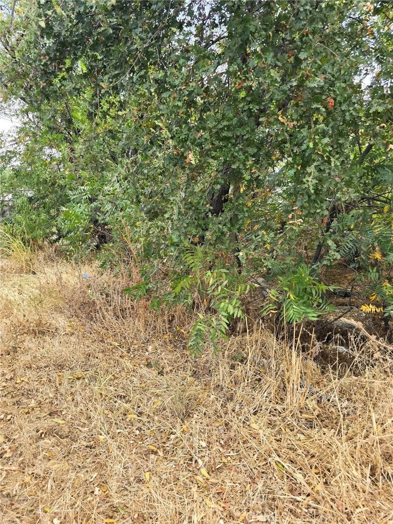 1466 Hammonton Smartsville Road Marysville, CA 95901 - Photo 2 of 4 a view of a yard with a tree