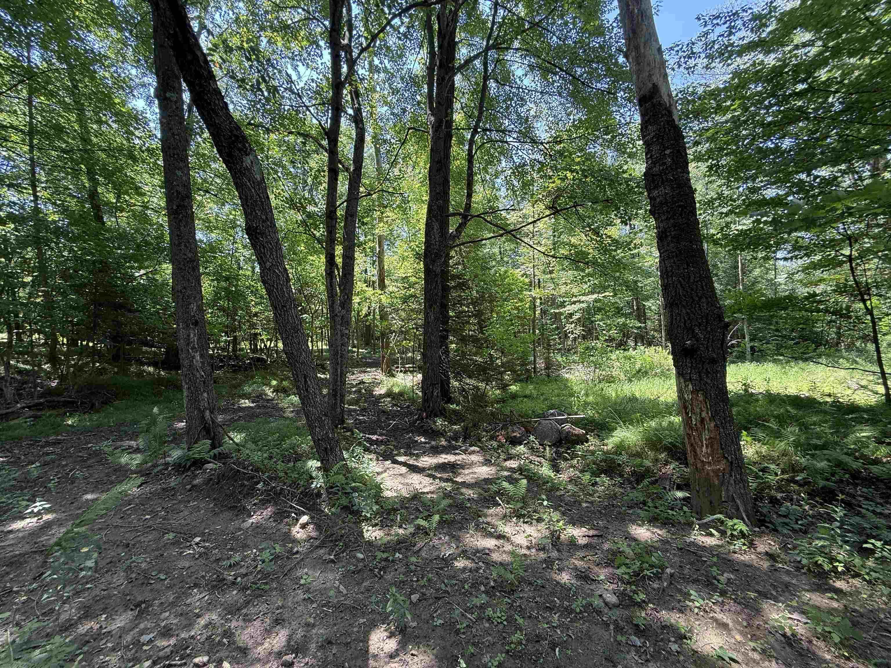 Red Hickory Road Eland, WI 54427 - Photo 14 of 28