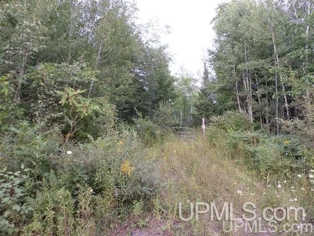 Tbd Valley Road Hurley, WI 54534 - Photo 6 of 6