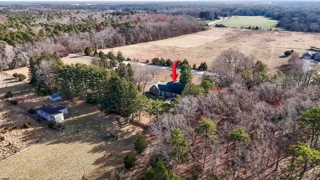 a view of a houses with a mountain and a forest