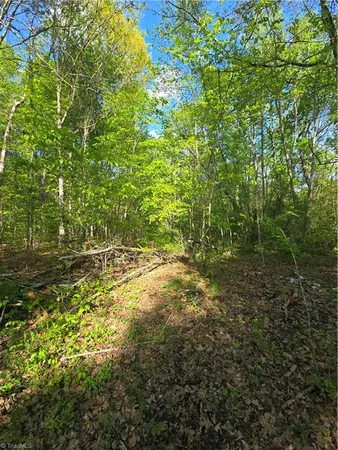 $130,000 | 219 Dot Street, Denton, NC 27239