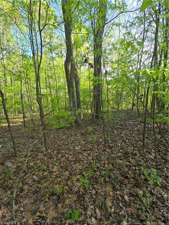 219 Dot Street Denton, NC 27239 - Photo 3 of 4