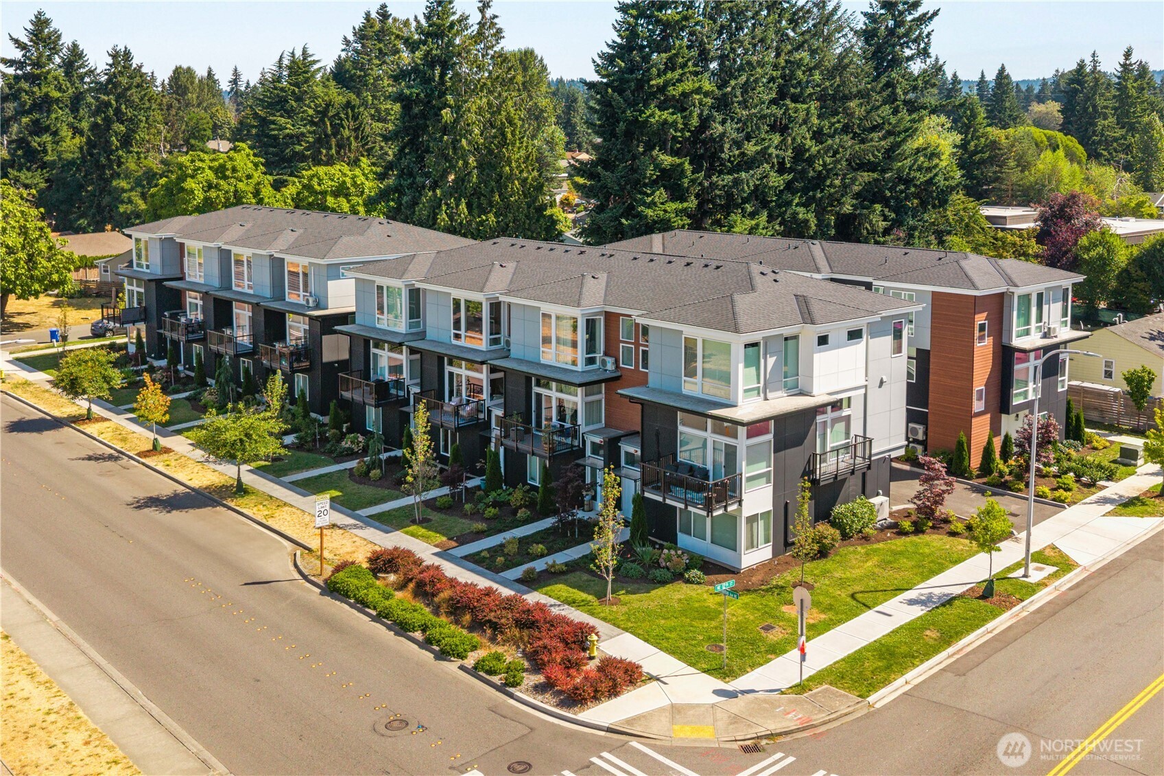 a aerial view of a house with swimming pool and large trees