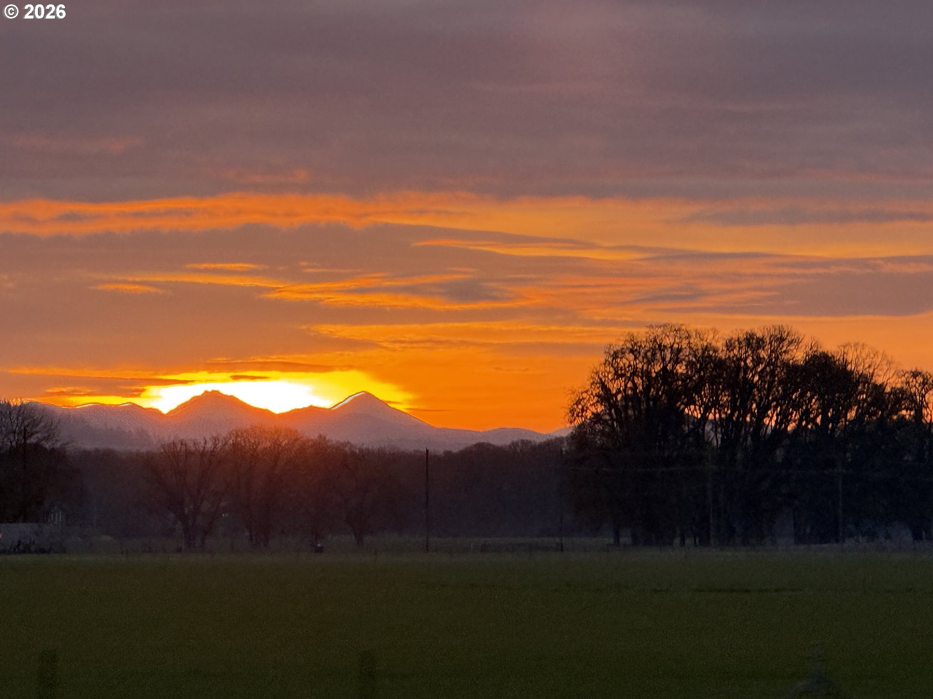 33174 Langmack Road Lebanon, OR 97355 - Photo 44 of 47
