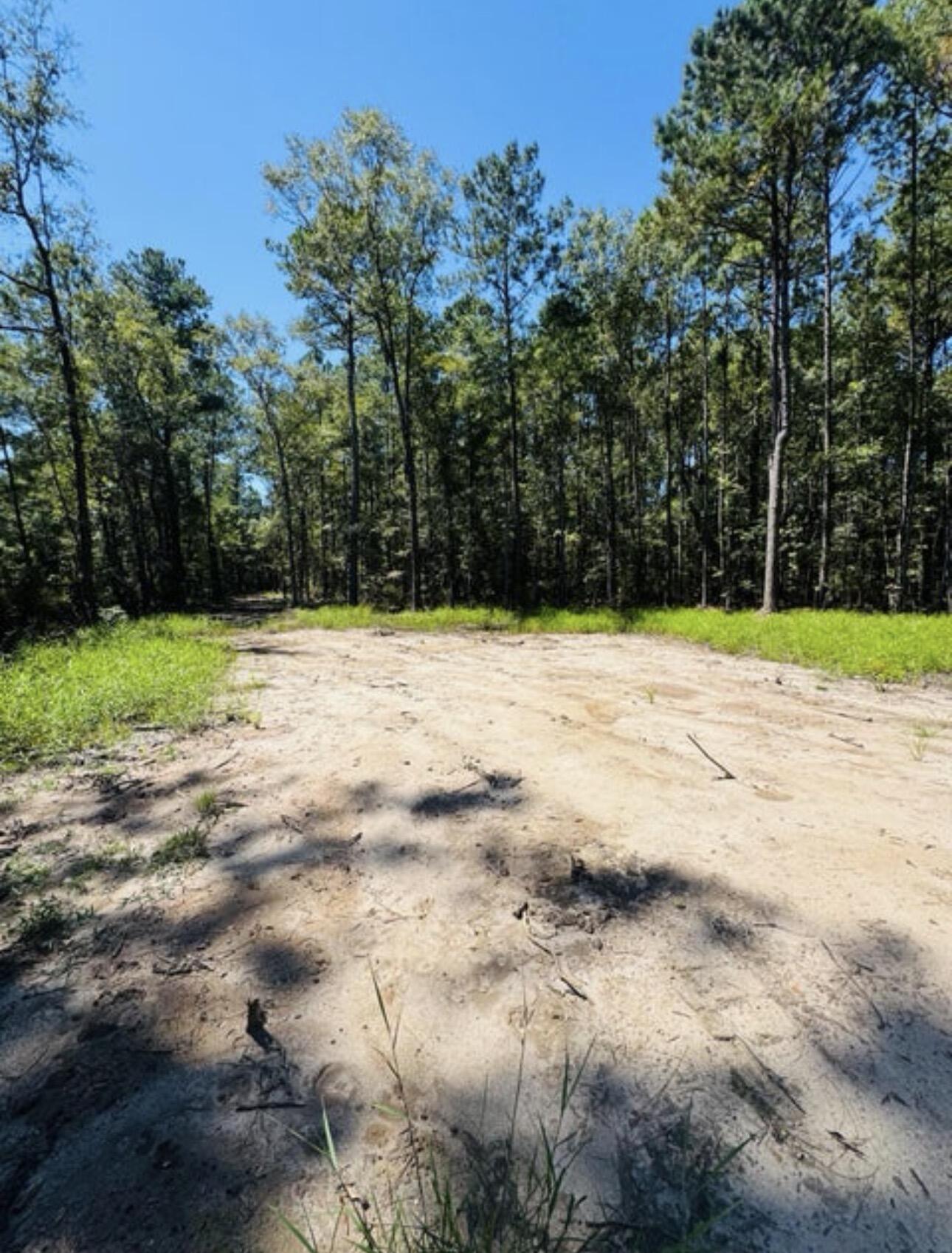 0 Mcdanieltown Road Ridgeville, SC 29472 - Photo 8 of 14 IMG_8464
