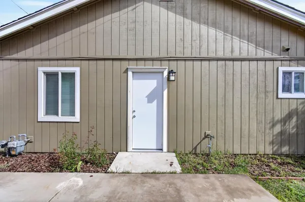 a view of a park with plants and trees