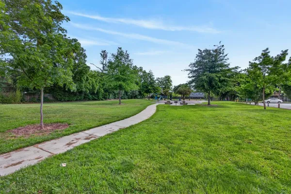 a view of a park with trees in the background