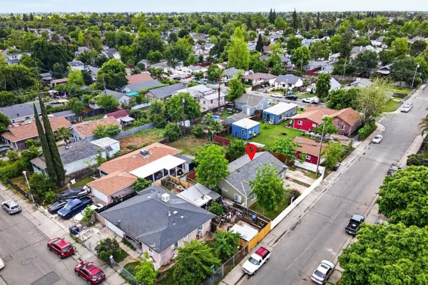 a view of a garden with a flower in a garden