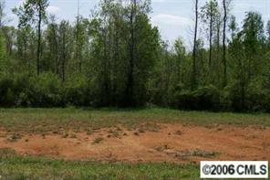 18 Roy Eaker Road Cherryville, NC 28021 - Photo 2 of 3 a view of backyard with green space