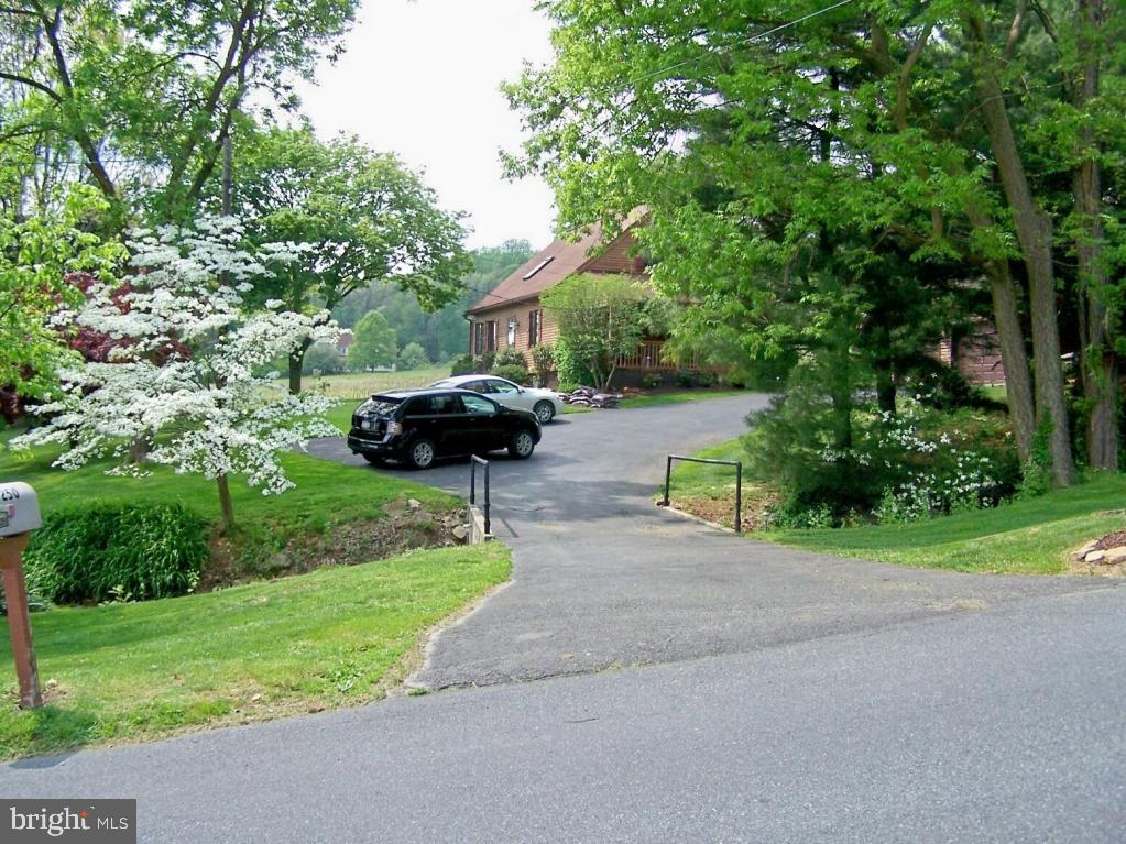 Gallery Image 7