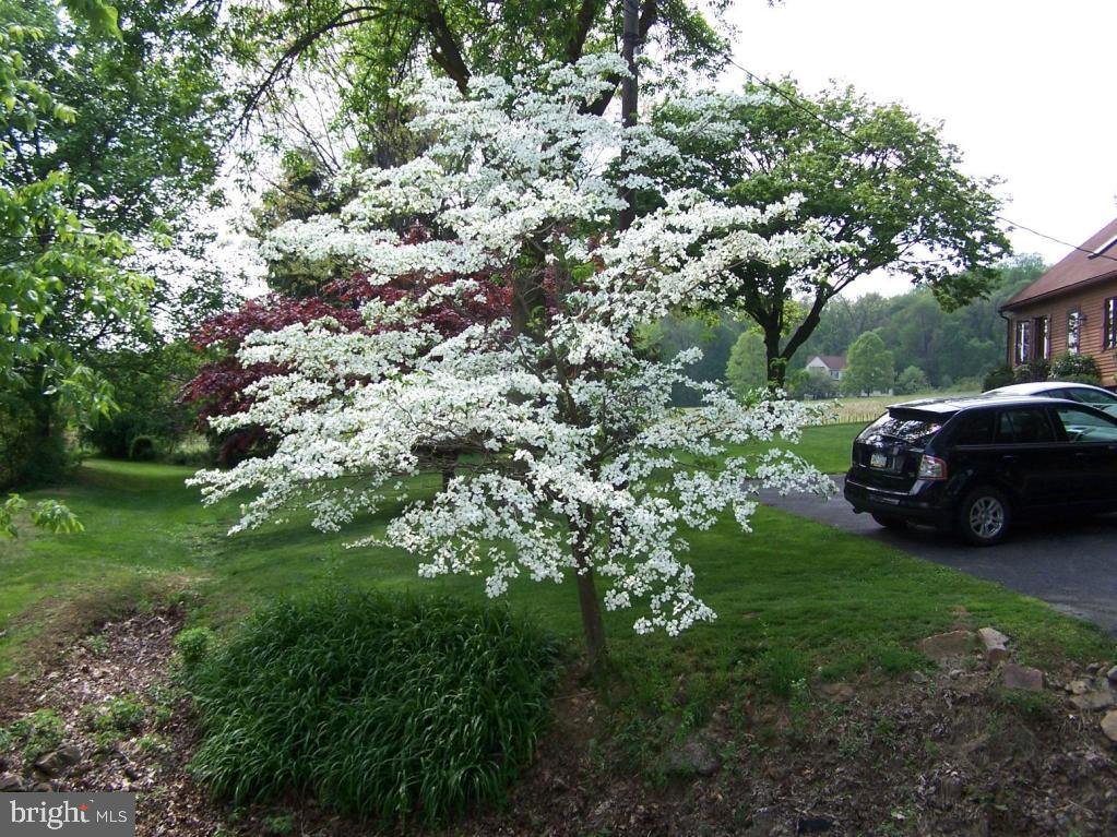 250 Sylvan Retreat Road Columbia, PA 17512 - Photo 8 of 33 Gallery Image 8
