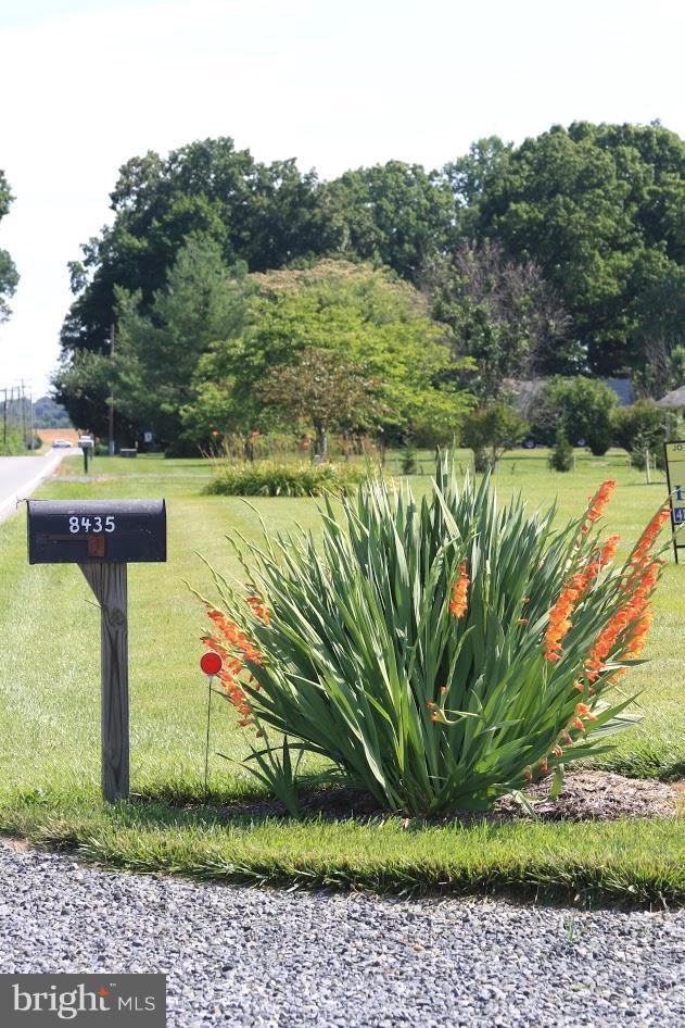 8435 Broad Neck Road Chestertown, MD 21620 - Photo 2 of 25 Welcoming Entrance