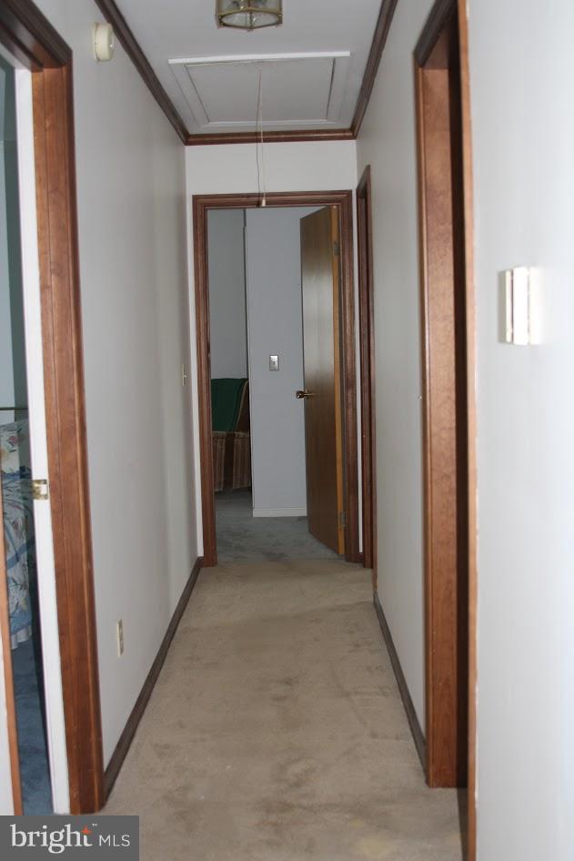 8435 Broad Neck Road Chestertown, MD 21620 - Photo 20 of 25 Hallway to Bedrooms