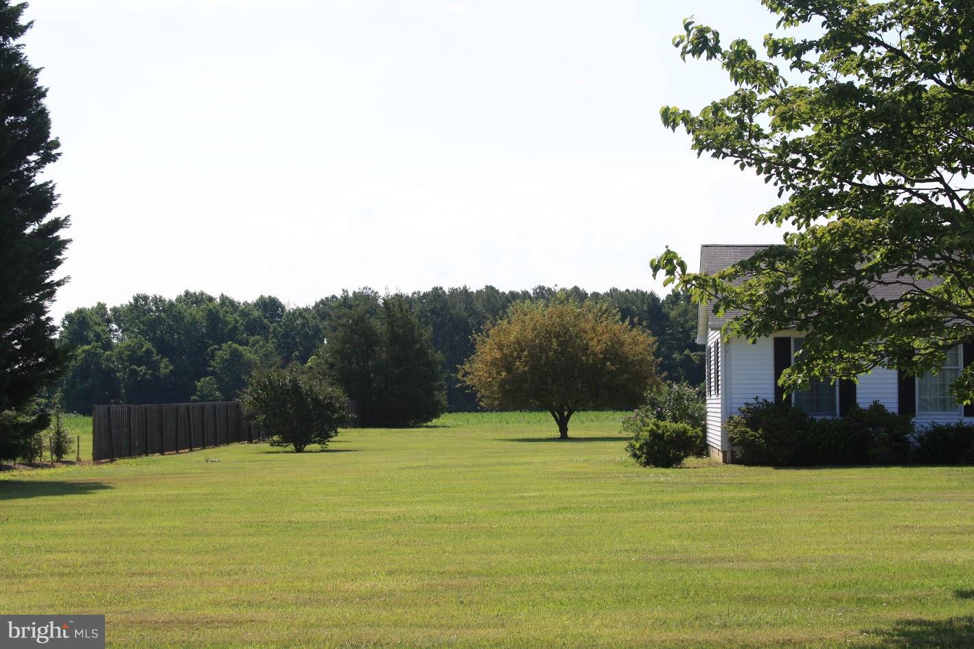 8435 Broad Neck Road Chestertown, MD 21620 - Photo 5 of 25 Left Side of House