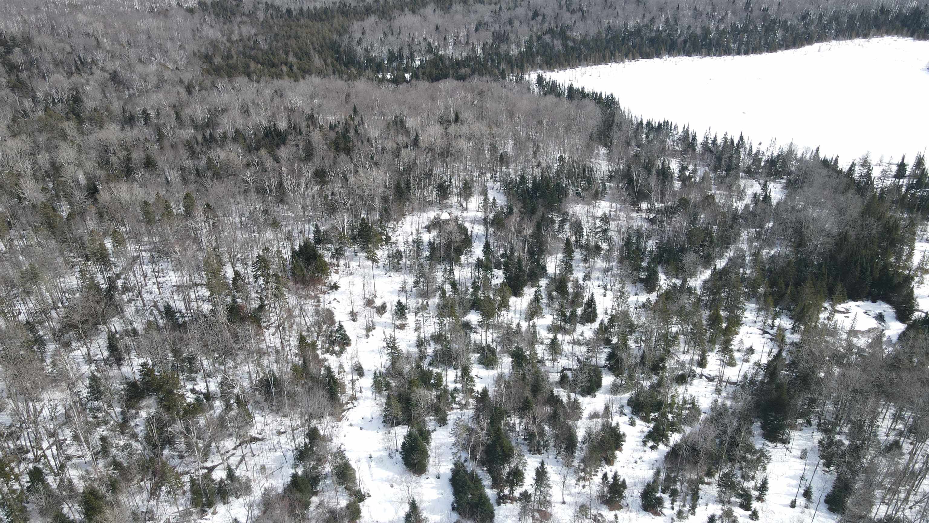 1606 Town Farm Road Sheffield, VT 05851 - Photo 43 of 55