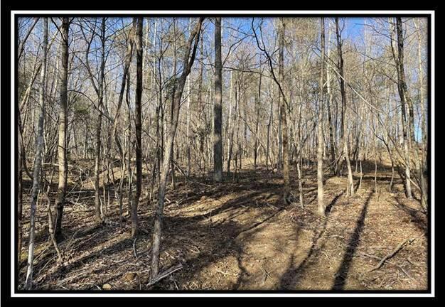 0 Harrison Road, Unit TRACT 5 Jackson, OH 45640 - Photo 26 of 50 image025