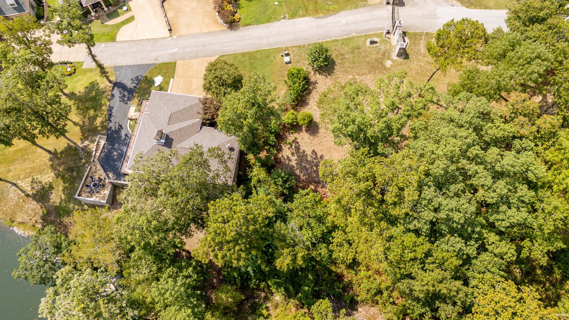 0 Quarry Hollow Pnt Road Savannah, TN 38372 - Photo 20 of 30 a close up of a plant in a garden