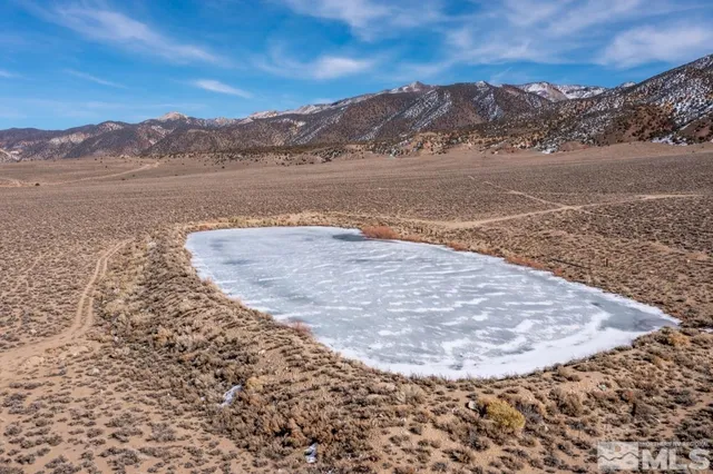 a view of a dry yard