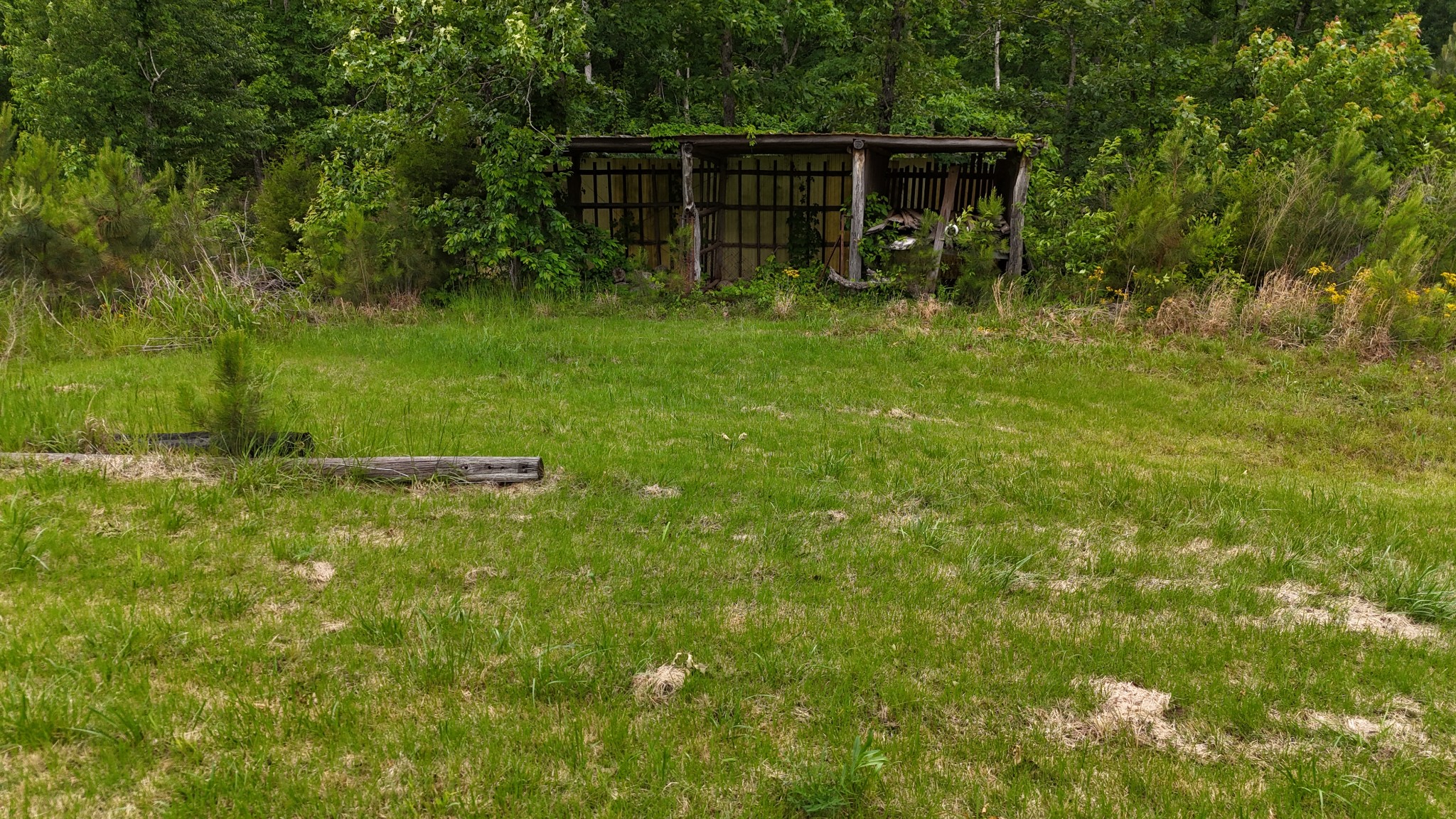 178 Lester Plunk Road Bethel Springs, TN 38315 - Photo 33 of 39 Gallery Image 33