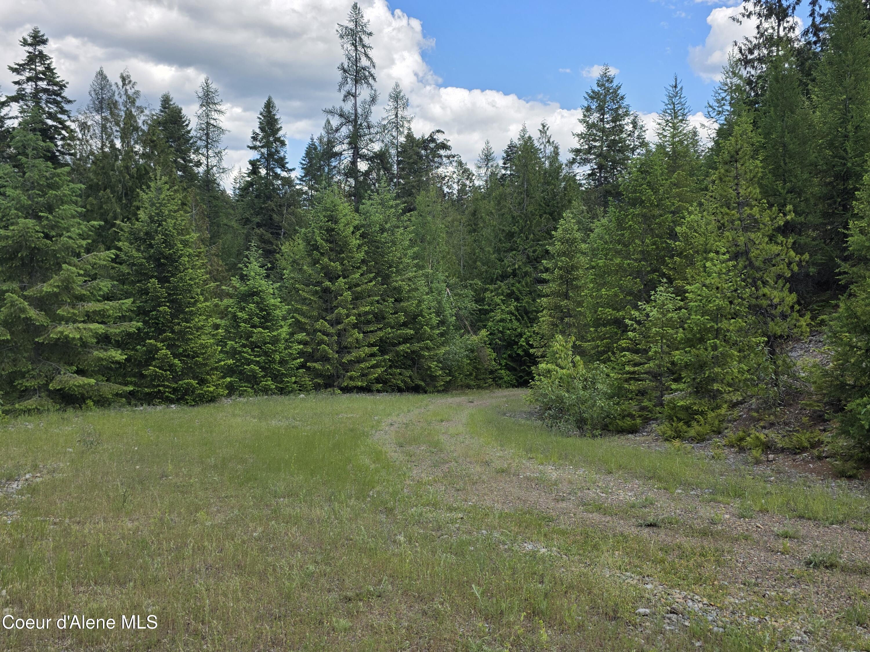5784 River Road Clark Fork, ID 83811 - Photo 35 of 38 Great access to the entire 80 acres