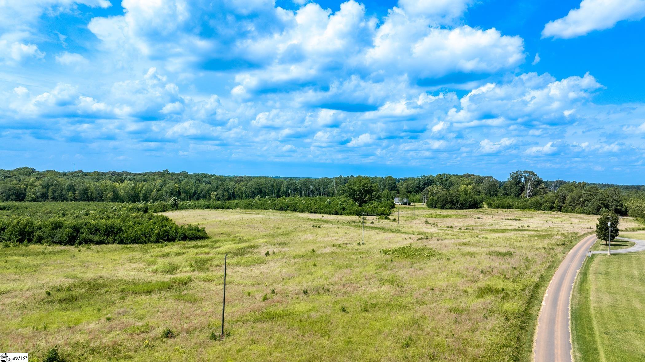 1147 Mt Vernon Church Road Laurens, SC 29360 - Photo 12 of 29 Ample Space to be creative