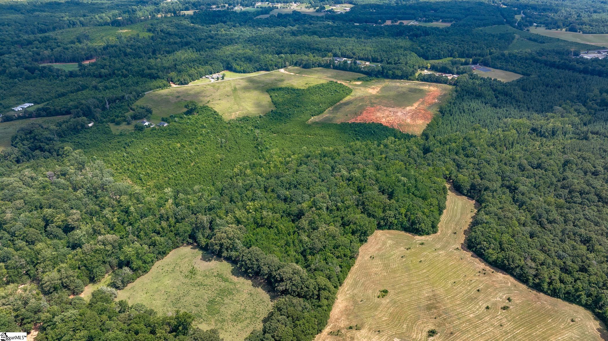 1147 Mt Vernon Church Road Laurens, SC 29360 - Photo 22 of 29 Wide land