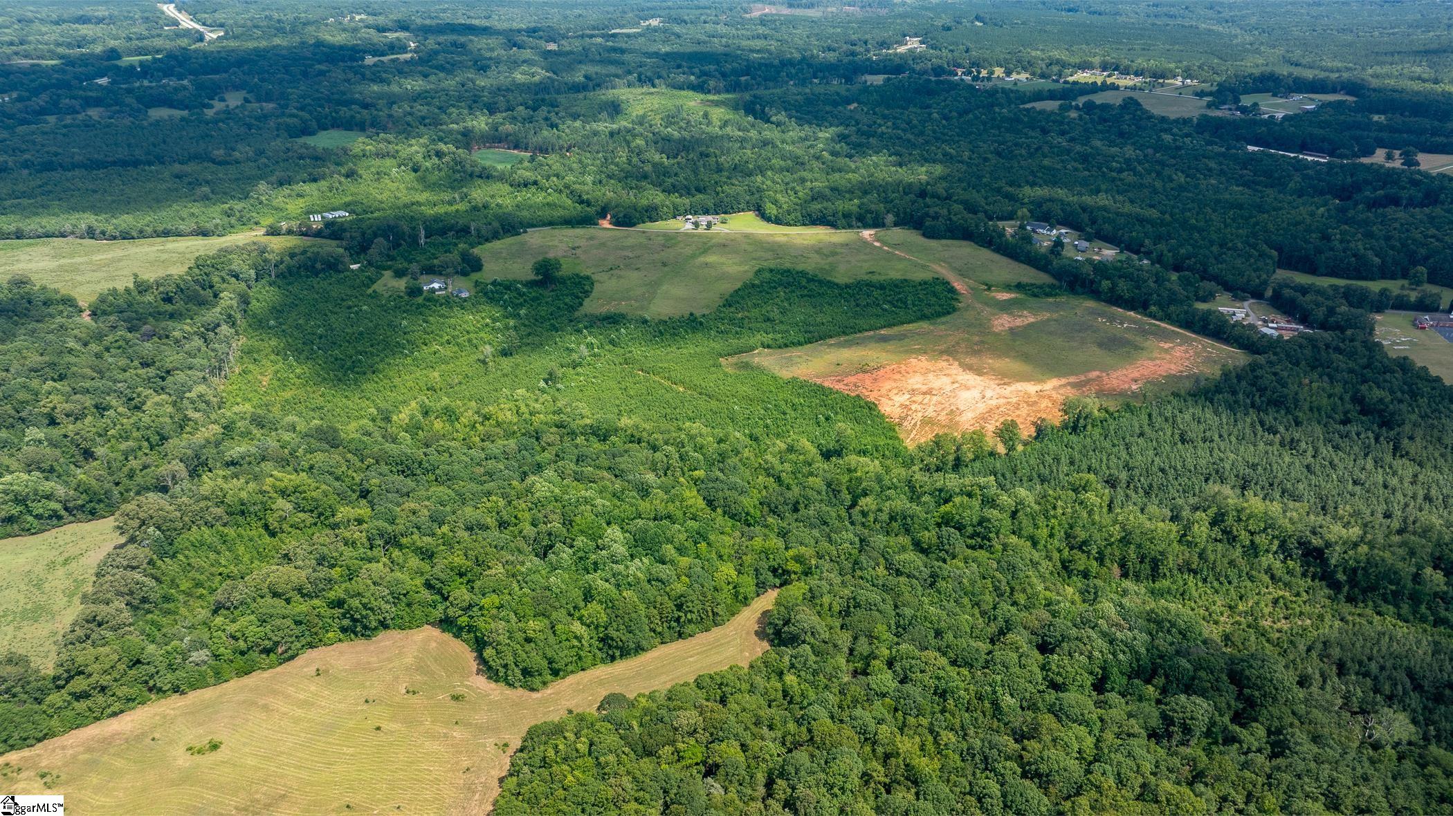1147 Mt Vernon Church Road Laurens, SC 29360 - Photo 23 of 29 Wide Lot