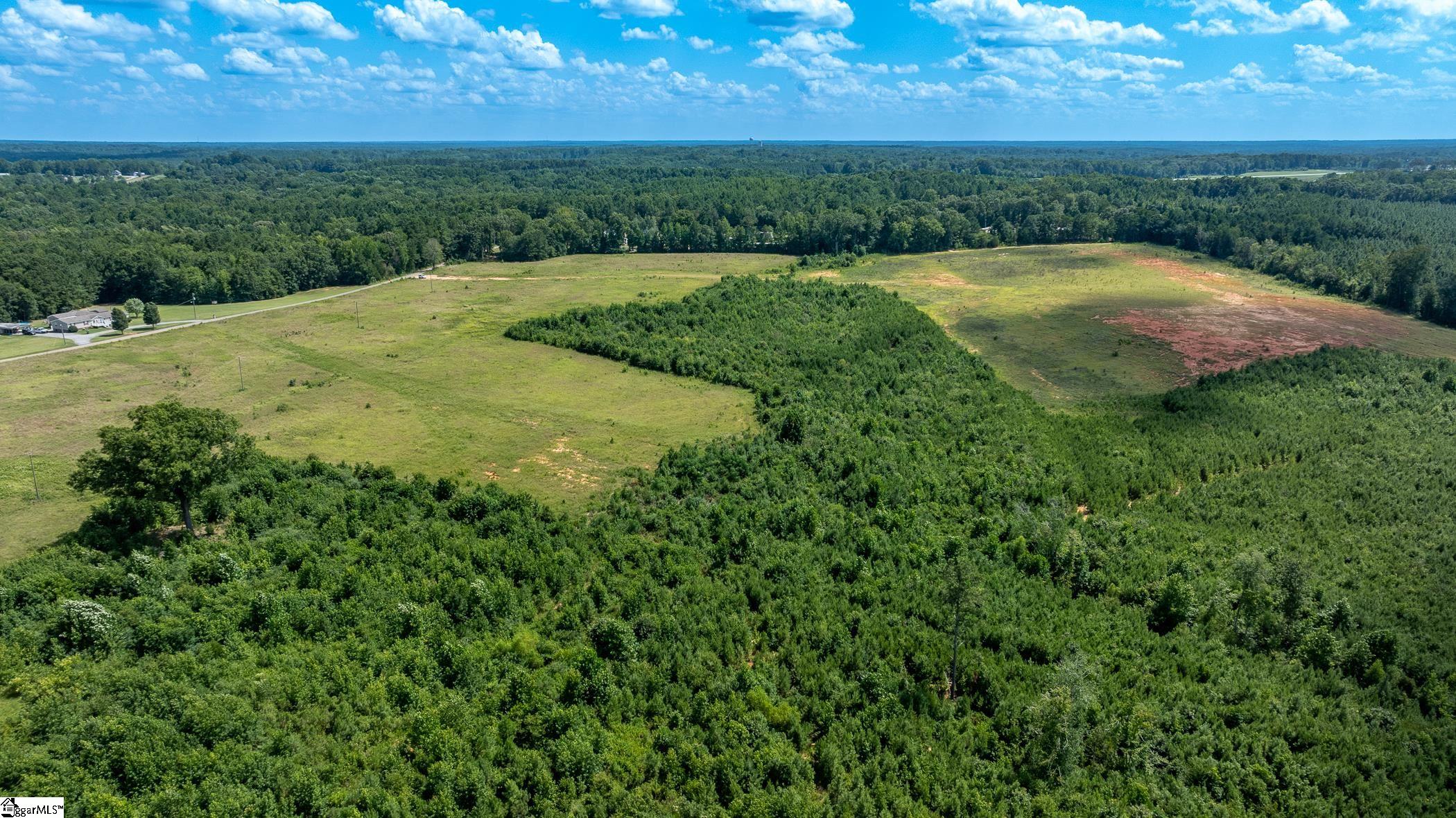 1147 Mt Vernon Church Road Laurens, SC 29360 - Photo 5 of 29 No HOA