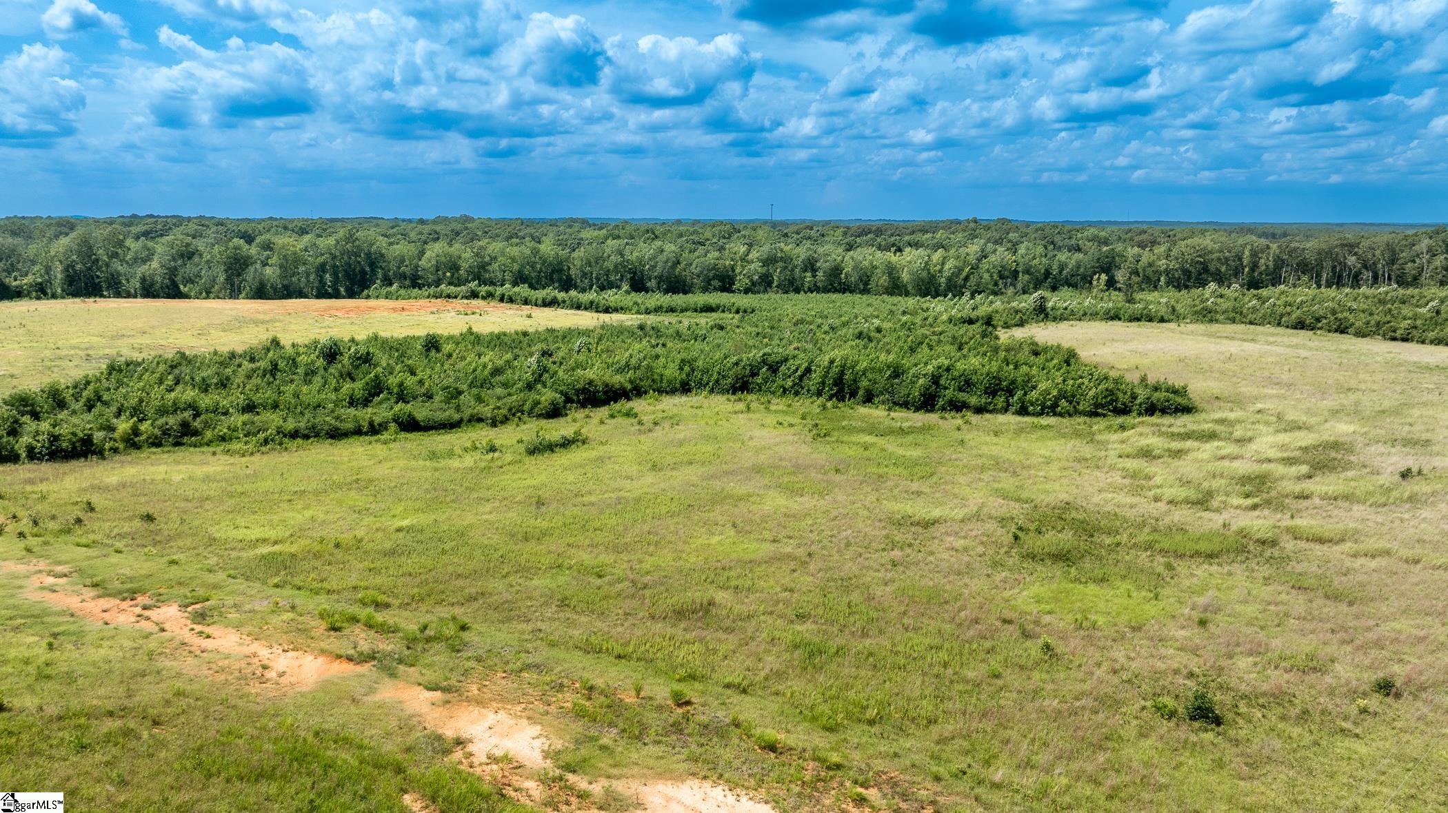 1147 Mt Vernon Church Road Laurens, SC 29360 - Photo 6 of 29 Some Leveled Land