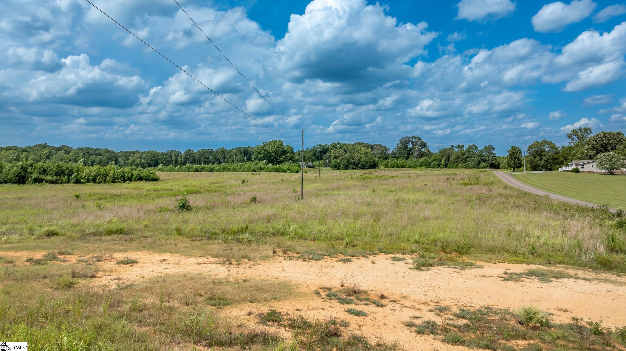 1147 Mt Vernon Church Road Laurens, SC 29360 - Photo 7 of 29 Live your desired life