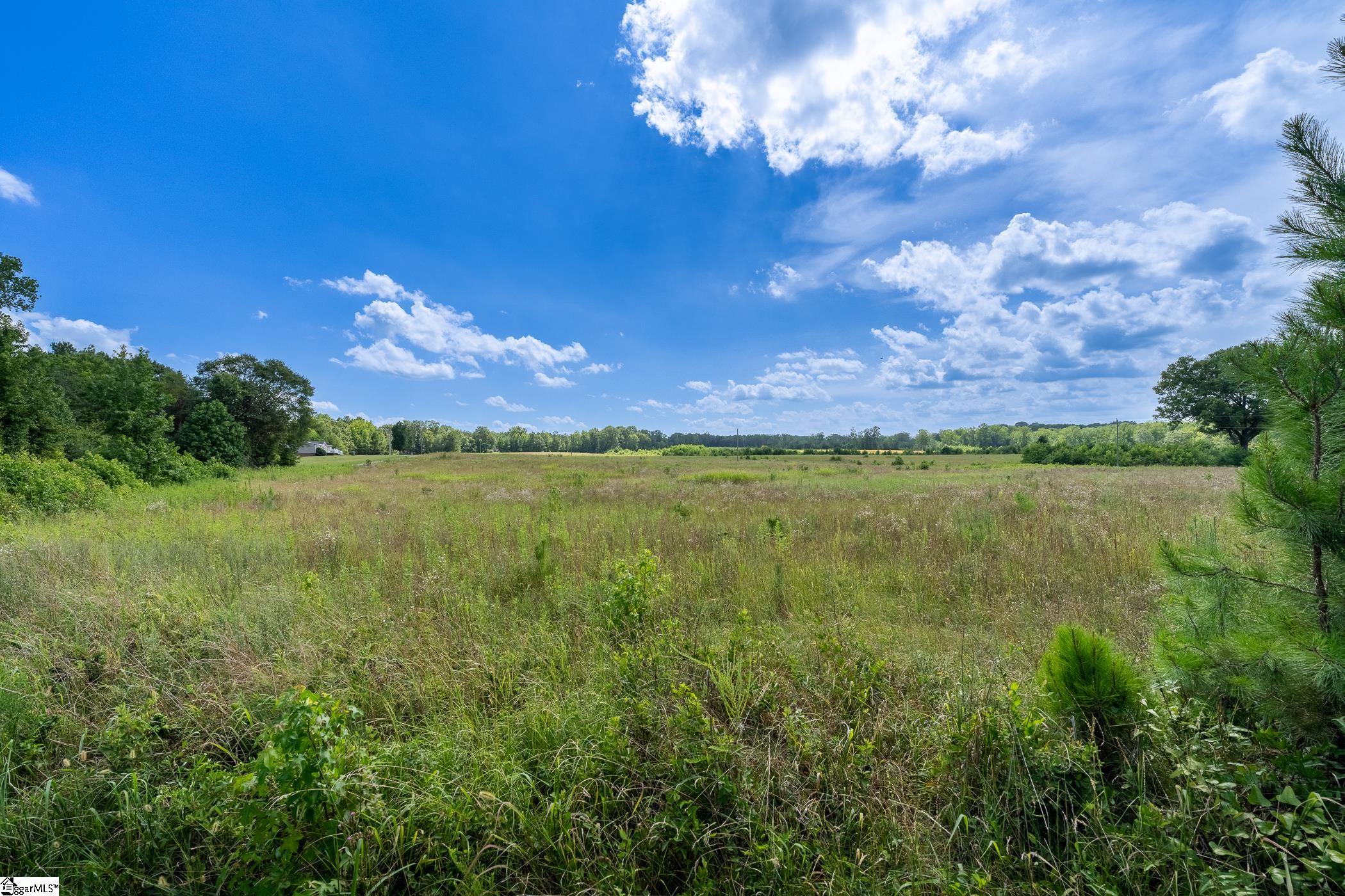 1147 Mt Vernon Church Road Laurens, SC 29360 - Photo 9 of 29 83 Arces