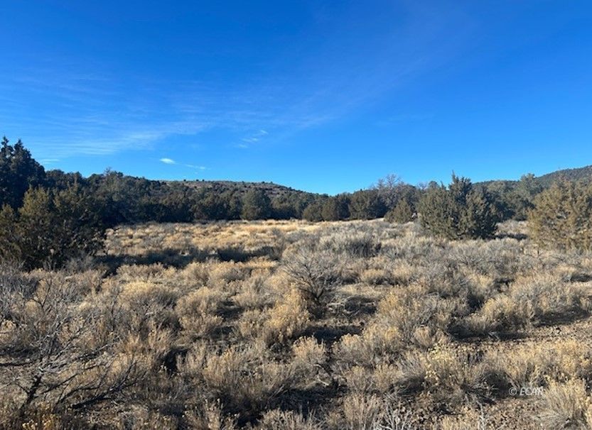 2 Track Wells Wells, NV 89835 - Photo 10 of 12