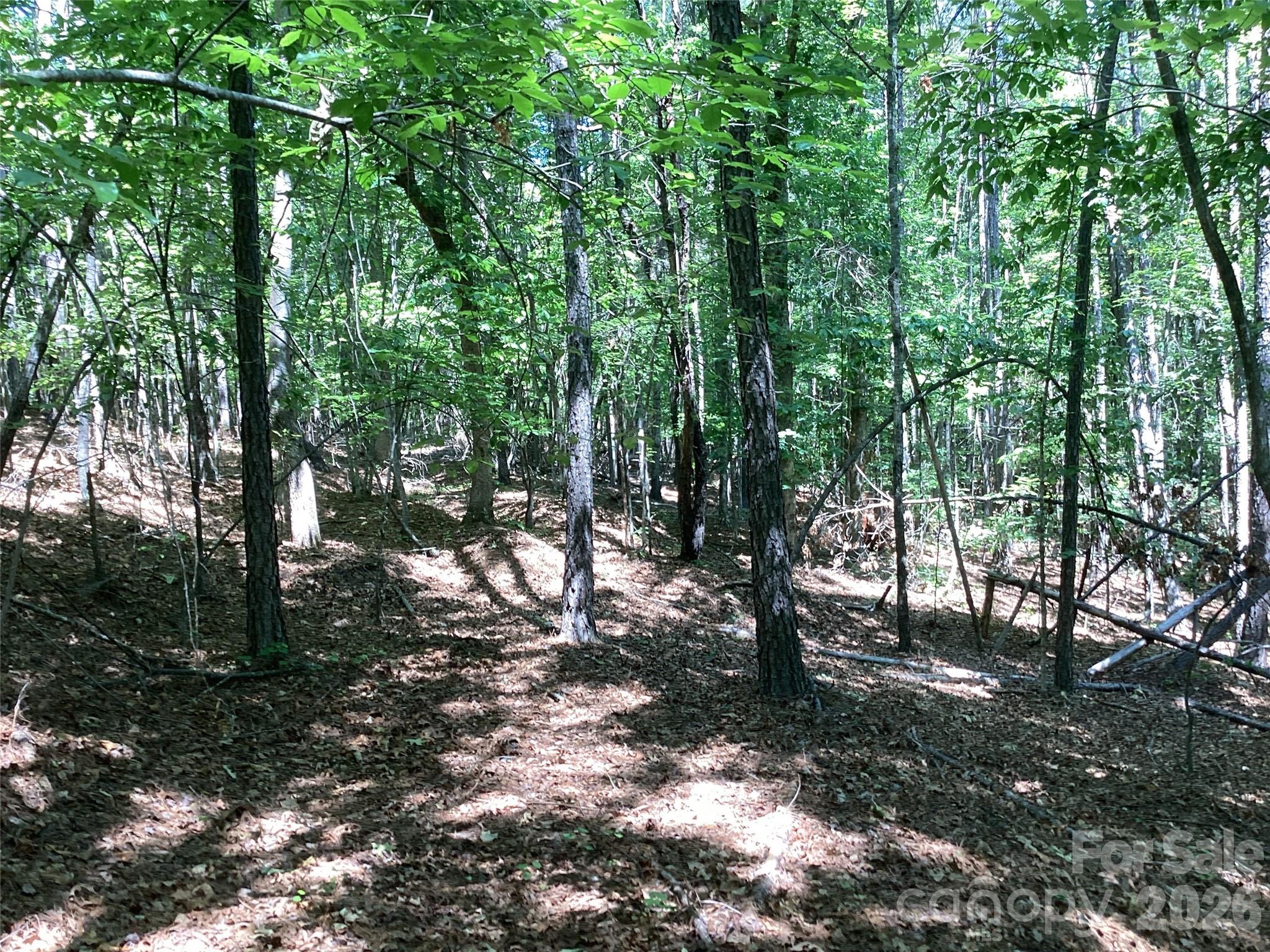 0 Powell Road Mill Spring, NC 28756 - Photo 17 of 22