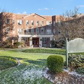 a view of a big yard and large trees