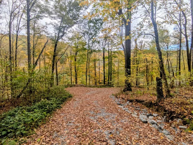a row of trees with small trees