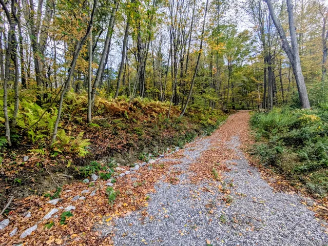 a view of a yard with plants and trees