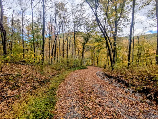 a view of backyard with green space