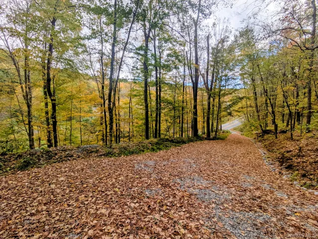a row of trees with small trees