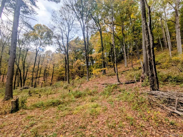 a view of a yard with trees