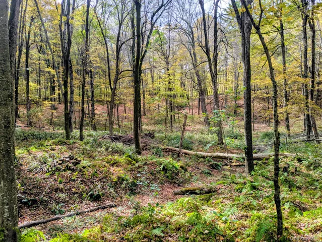 a backyard of a house with a yard and outdoor seating