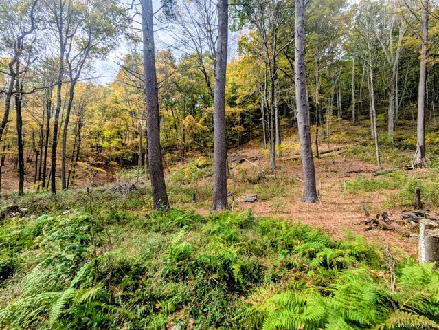 a backyard of a house with lots of plants and trees
