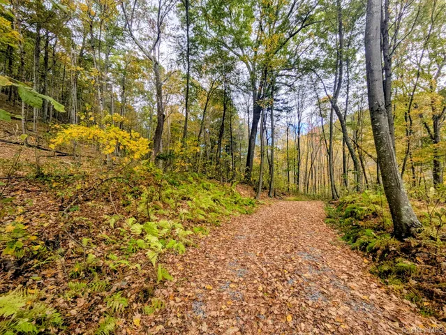 $199,000 | Rt-199, Stanfordville, NY 12581