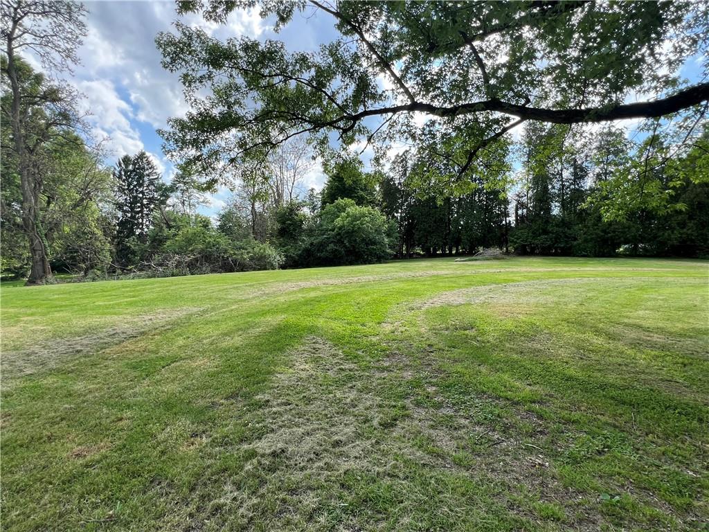 368 Pittsburgh Road Butler, PA 16002 - Photo 10 of 26 a view of a field with trees in the background