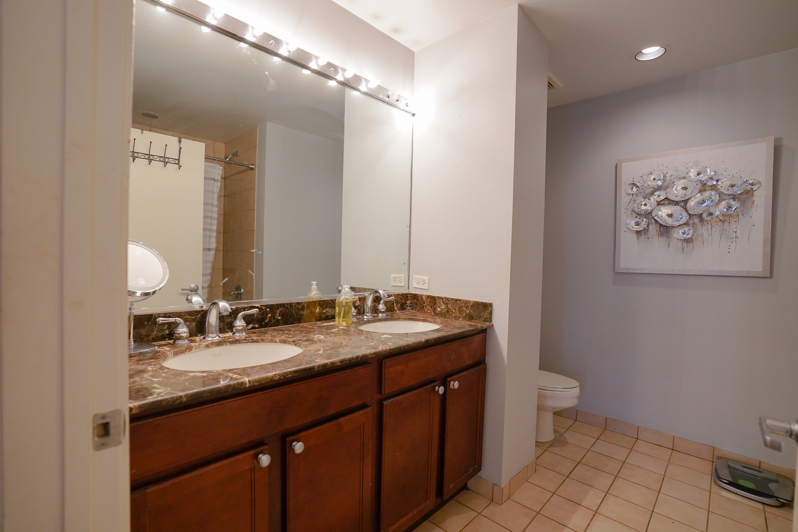 1069 West 14th Place, Unit 303 Chicago, IL 60608 - Photo 14 of 26 a bathroom with a granite countertop sink a toilet and a mirror