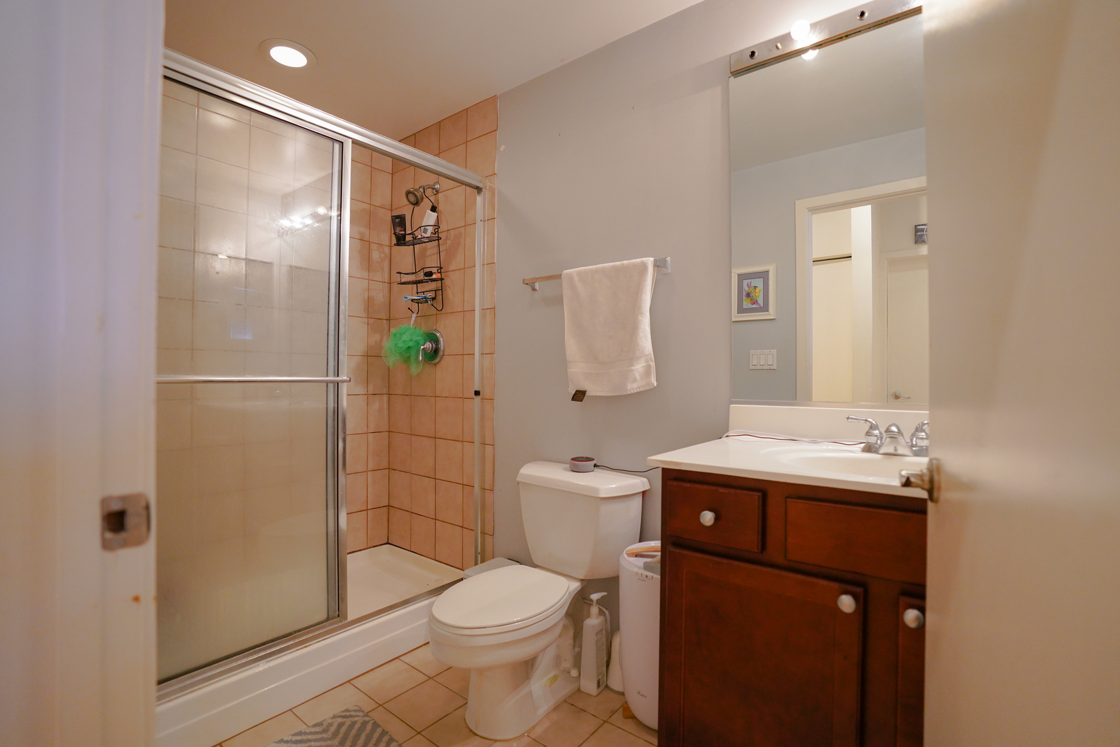 1069 West 14th Place, Unit 303 Chicago, IL 60608 - Photo 15 of 26 a bathroom with a sink a toilet and shower