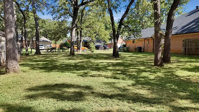 a view of a trees in a yard