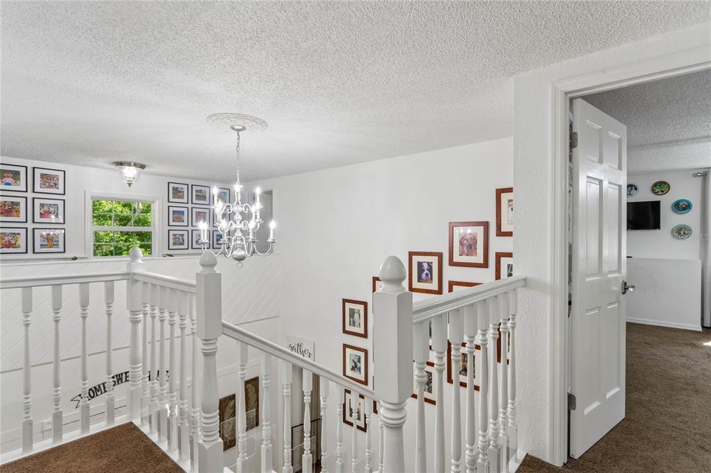 20424 Marguerite Road Brooksville, FL 34601 - Photo 33 of 91