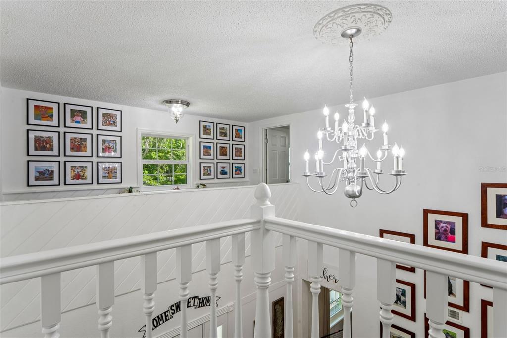 20424 Marguerite Road Brooksville, FL 34601 - Photo 34 of 91