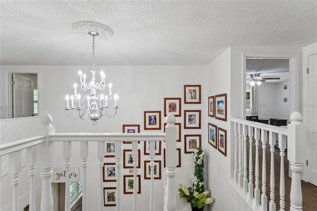 20424 Marguerite Road Brooksville, FL 34601 - Photo 35 of 91