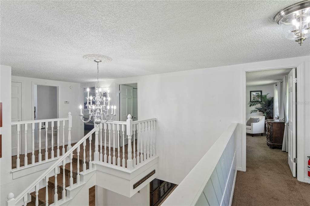 20424 Marguerite Road Brooksville, FL 34601 - Photo 40 of 91